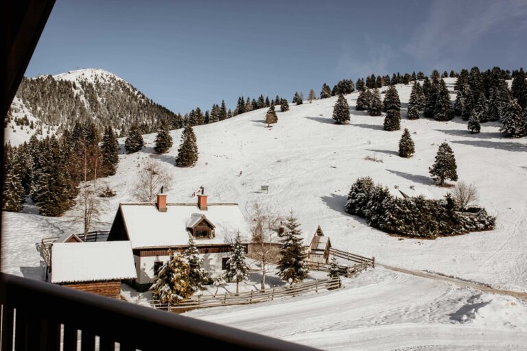 Zimski Apartma Julka